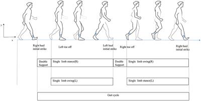 Predicting the fatigue in Parkinson's disease using inertial sensor gait data and clinical characteristics